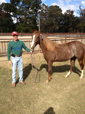 Horse Information